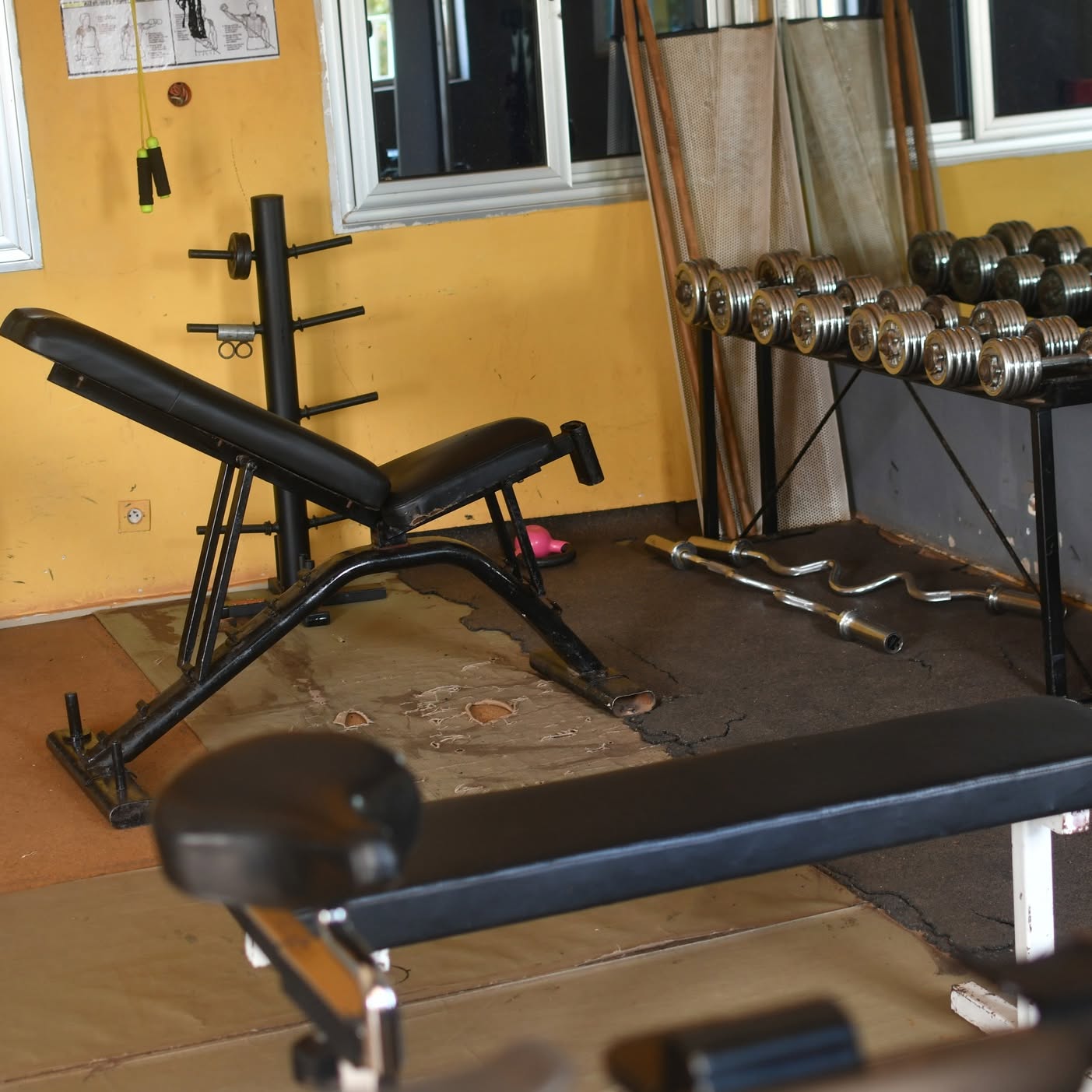 Banc réglable et rack d'haltères, salle CFC