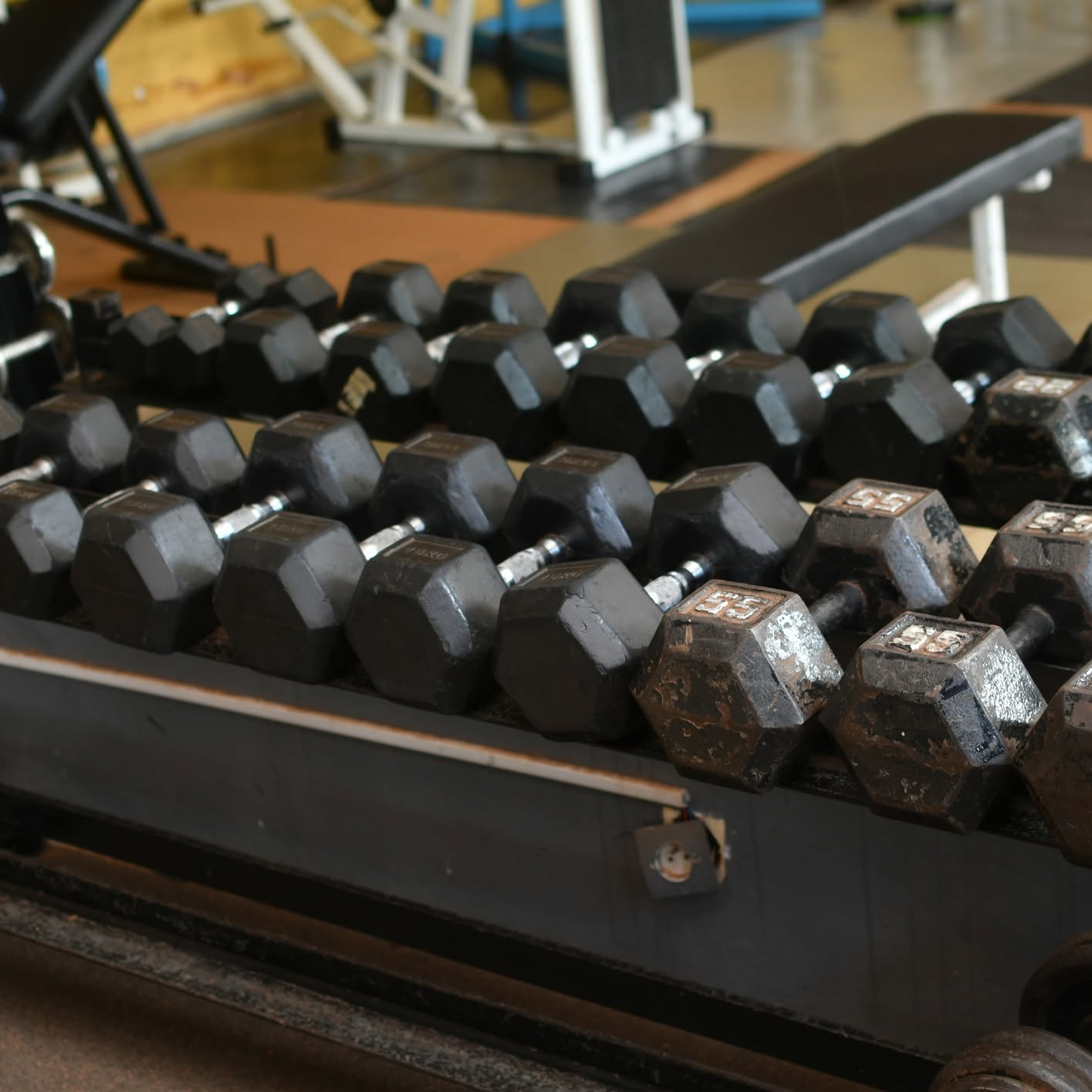 Séance d'entraînement au Centre Fitness chez Cissé, Cissin
